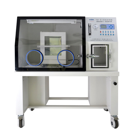 Anaerobic Incubator Supplier