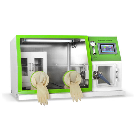 LAI-3DT Anaerobic Incubator for laboratory